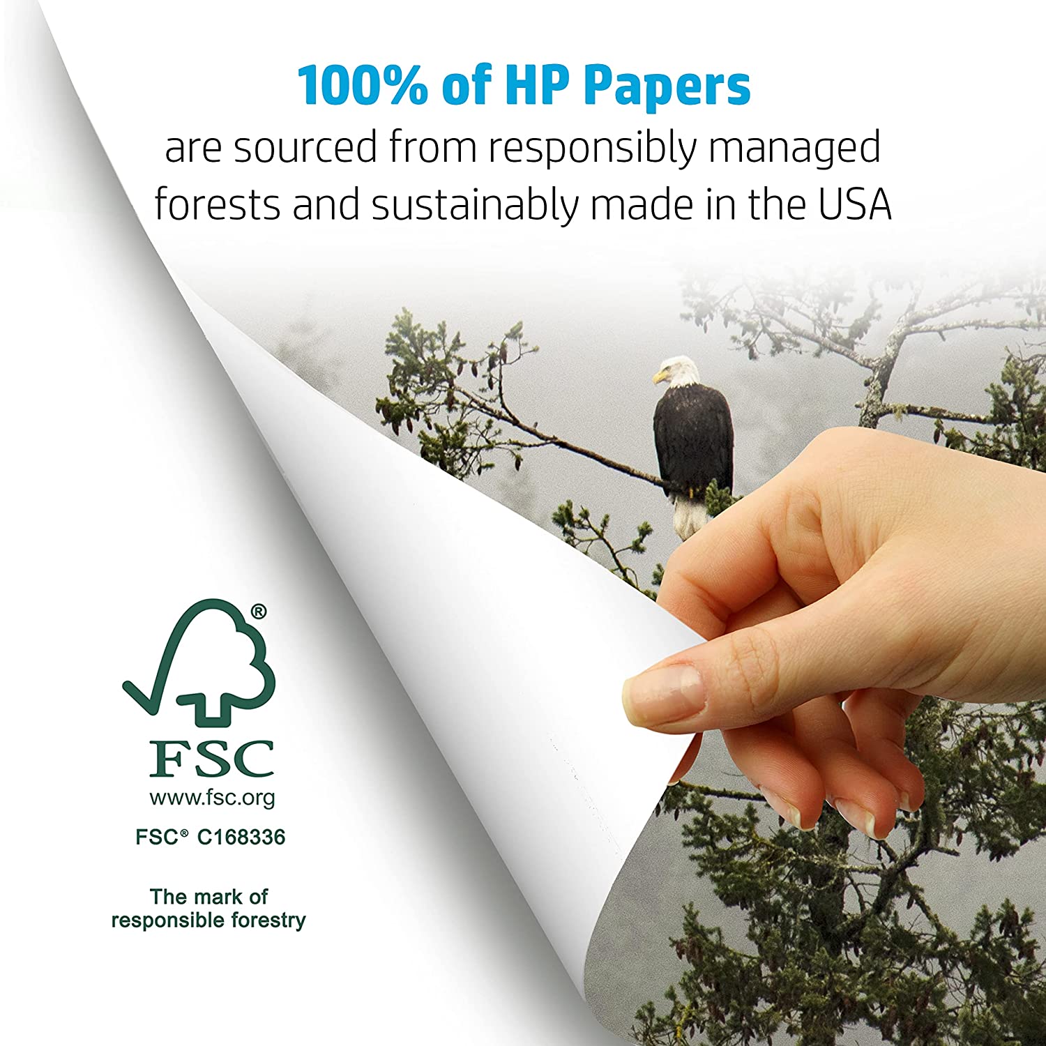 HP Printer Paper Office 20lb, 8.5x 11, 3 Ream Case, 1,500 Sheets, Made in  USA From Forest Stewardship Council (FSC) Certified Resources, 92 Bright